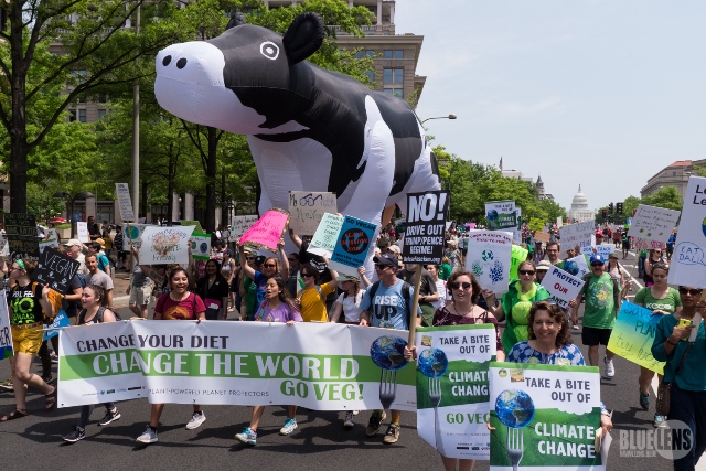 DC Climate March 2017 1070408 33551765833