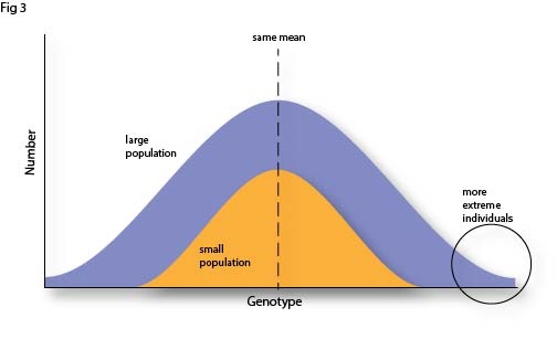 Fig 3 Increased population and extreme individuals